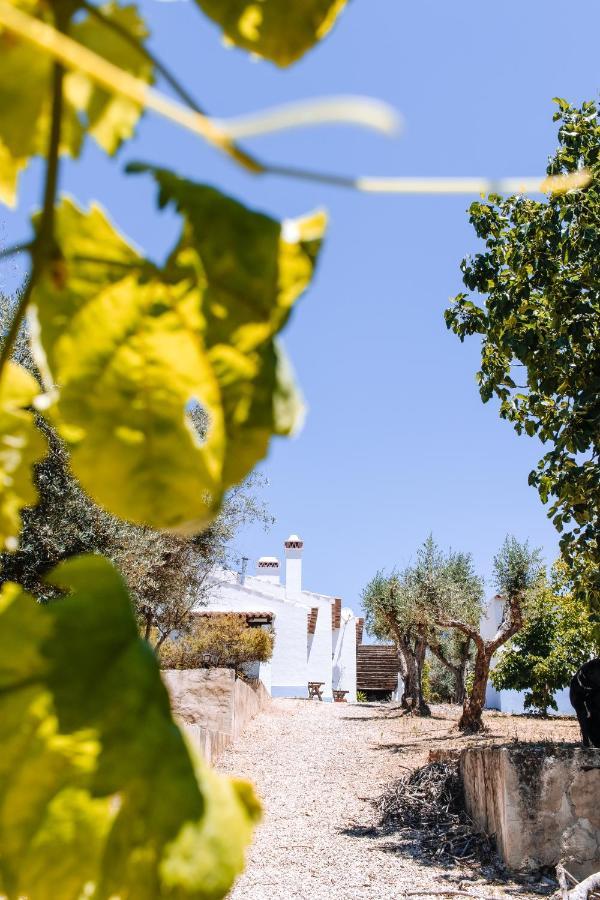 Monte Do Pomar Guest House Redondo Bagian luar foto